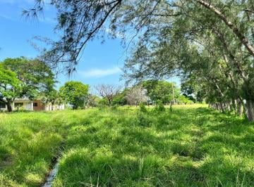 Rancho · 55m² · 55 Hectáreas en Venta en El Bayo, Alvarado
