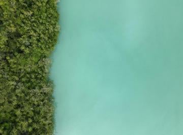 Terreno / Lote , Bacalar · Lote Venta Bacalar