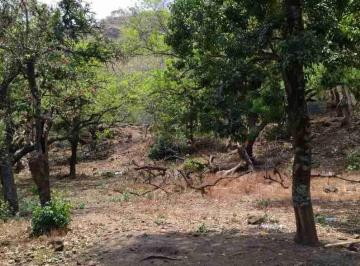 Terreno / Lote · 3257m² · Terreno en Venta en Malinalco Centro