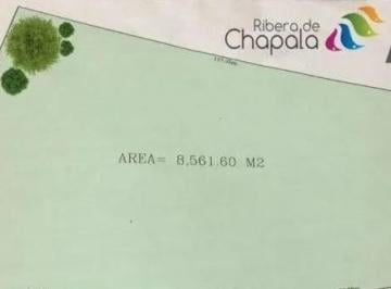 Terreno / Lote , Chapala · Venta de Terreno en Chapala. $39,000,000
