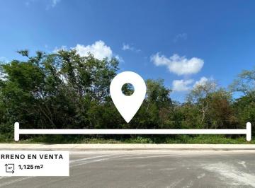 Terreno / Lote , Conkal · Terreno en Venta en Conkal Yucatan Sobre Av