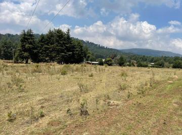 Terreno / Lote , Valle de Bravo · Magnifico Terreno en Venta en Mesa Rica