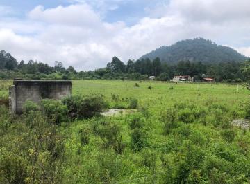 Terreno / Lote · 5300m² · Terreno en Venta - (4)
