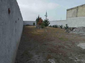 Terreno / Lote · 45m² · Terreno en Venta, Ejido de San Sebastián, Estado de México.
