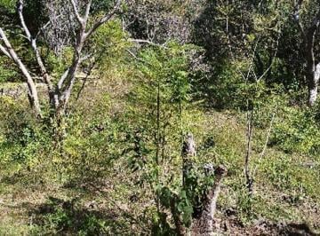Terreno / Lote · 2642m² · Terreno en Venta en Jalmolonga, Malinalco