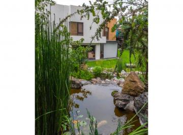 Departamento de 1 habitación, Alvaro Obregón · Renta Suites Aaa con Servicios Incluidos, Jardines del Pedregal