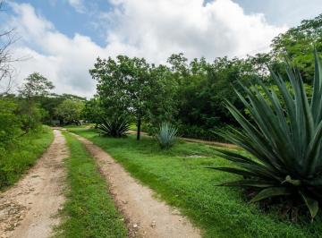 Terreno / Lote · 5020m² · Terreno en Venta en Conkal Mérida Yucatán