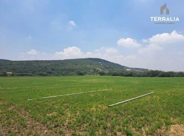Terreno / Lote de 2 habitaciones, El Marqués · Rancho en Venta Frente a Puerta del Lobo en La Griega de 16.2 Hectáreas