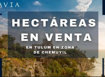 Terreno / Lote · 8800000m² · Terreno en Venta