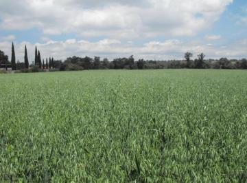 Terreno / Lote · 36542m² · Terreno en Aculco San Isidro