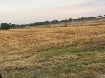Terreno / Lote · 15000m² · Venta de Terreno en Tizayuca
