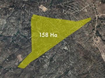 Terreno / Lote · 1580000m² · Venta de 158 Hectáreas a un Costado de Fracc. Santa Veronica, Tecate.