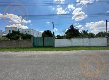 Terreno / Lote · 7249m² · Amplio Terreno en Cholul, Yucatán.