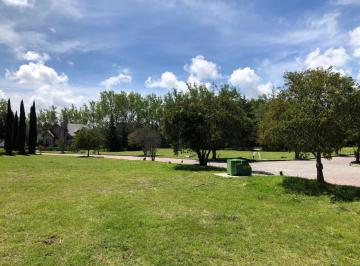Terreno / Lote · 560m² · Lote de Entrega Inmediata Cerca del Campo de Golf en Huamantla, Estado de Tlaxcala. - (4)
