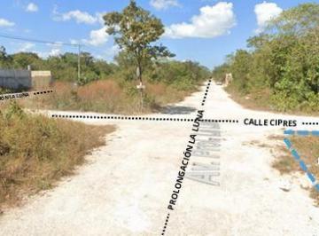 Terreno / Lote · 433m² · Terreno en Renta en Cancún en Prolongación La Luna | Excelente Ubicación y Conectividad
