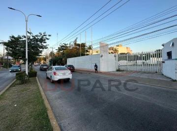 Oficina , Carmen · Oficinas en Renta 255 m², Calle 31