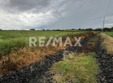 Terreno / Lote · 5413m² · Terreno en Venta - (4)