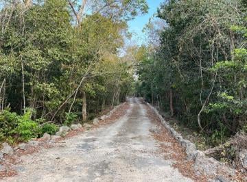 Terreno / Lote · 10000m² · Se Vende Hectárea a Súper Precio.