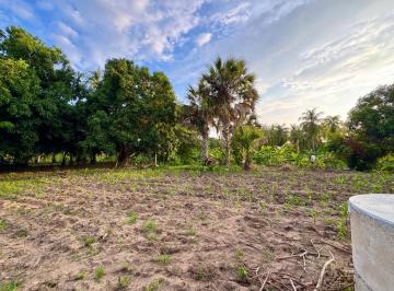 Terreno / Lote , Santa María Colotepec · Rancho Hermoso Cerca de La Playa. Tiene Agua, Luz, y Árboles Frutales.