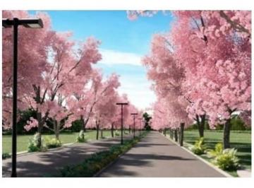 Terreno / Lote , Mérida · Terreno en Venta