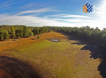 Terreno / Lote · 1093m² · Terrenos en Venta en Fracc. Bosques de Llano Grande Durango