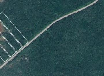 Terreno / Lote · 250000m² · Venta de Terreno (S) en Tulum. Tramo Felipe Carrillo Puerto.