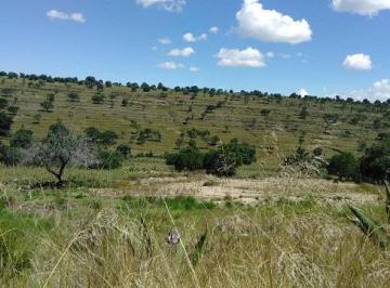 Terreno / Lote , Altzayanca · Altzayanca Tlaxcala 20 Hectáreas