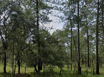 Terreno / Lote · 2000m² · Terreno en Venta en Fracc. El Pedregal del Bosque Durango