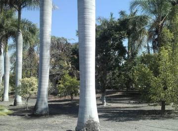 Terreno / Lote , Xochitepec · Terreno Campestre en Atlacholoaya, Xochitepec, Morelos