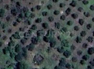 Terreno / Lote · 4750m² · Terreno en Venta en Col. Granja del Sauz en Montemorelos, N. L.