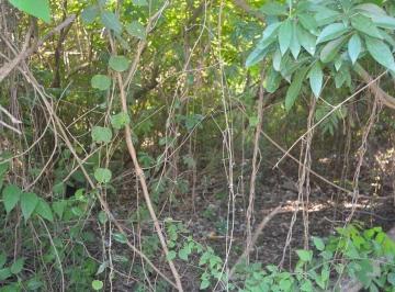 Terreno / Lote · 433m² · Terreno en Venta en Tulum