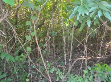 Terreno / Lote · 207m² · Lot Riviera Tulum