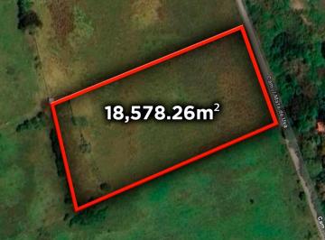 Terreno / Lote , Alvarado · 1.8 Hectáreas en Venta Frente a Playa en Mata de Uva Veracruz | Arlette Flores