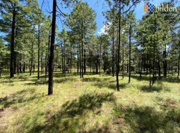 Terreno / Lote · 2000m² · Terreno en Venta en Fracc. Providencia Eco Park Adventure Llano Grande