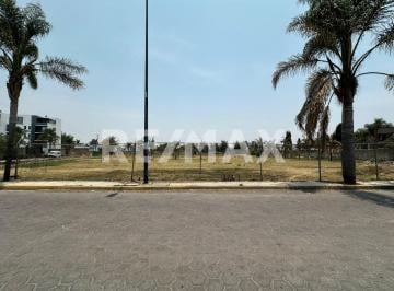Terreno comercial · 7000m² · Venta de Terreno Comercial en San Francisco Acatepec - (4)