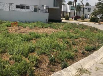 Terreno / Lote · 245m² · Terreno Residencial en Venta en San Francisco Acatepec - (4)