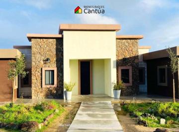 Vive rodeado de olivos, vino y montañas.
Casa Cactus es más que una residencia: · Casa Cactus en Venta | Vista a Montañas y Naturaleza Viva | Valle de Guadalupe