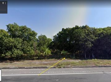 Huerta · 35000m² · Venta Terreno Huerta de Mangos en Iguala 3.5 Ha