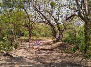 Terreno / Lote · 30018m² · Excelente Terreno en Palenque, Las Joyas