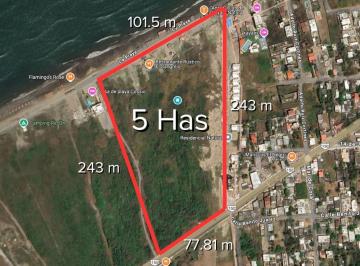 Terreno / Lote , Alvarado · 5 Hectáreas en Venta con Playa en Anton Lizardo Veracruz | Arlette Flores