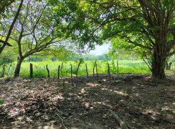Rancho , Alvarado · En Venta 4.5 Ha El Zapote a Minutos de Playa