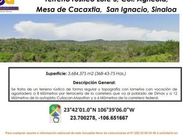 Terreno / Lote , San Ignacio · Se Vende Terreno Rustico