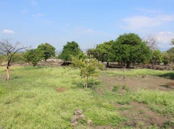 Terreno / Lote · 24000m² · Terreno en Venta en Temixco Morelos, Col. Miguel Hidalgo