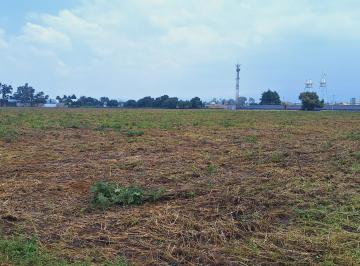 Terreno comercial · 71000m² · Venta de Terreno Comercial en Texcoco de Mora Estado de México. - (4)