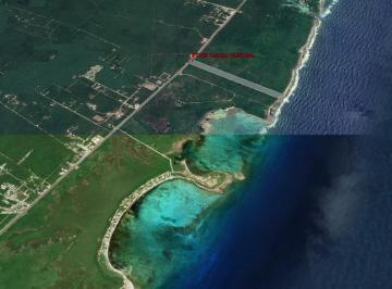 Terreno / Lote · Terreno en Venta 13.38 Has Tulum