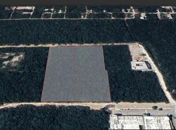 Terreno / Lote · 30000m² · Terreno en Venta Av Villa Maya Fte. Colegio Alamos Kid