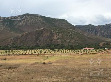Terreno / Lote · 84100m² · 3 Recámaras · Terreno en El Sauz