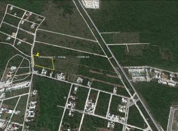 Terreno / Lote · 14000m² · Terreno en Venta en Cholul, Zona de Alto Crecimiento