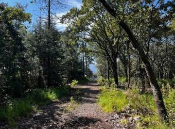 Terreno / Lote · 10000m² · Terreno en Venta en Santa María Mazatla, Jilotzingo