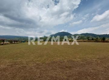 Terreno comercial · 90000m² · Terreno en Renta - (4)